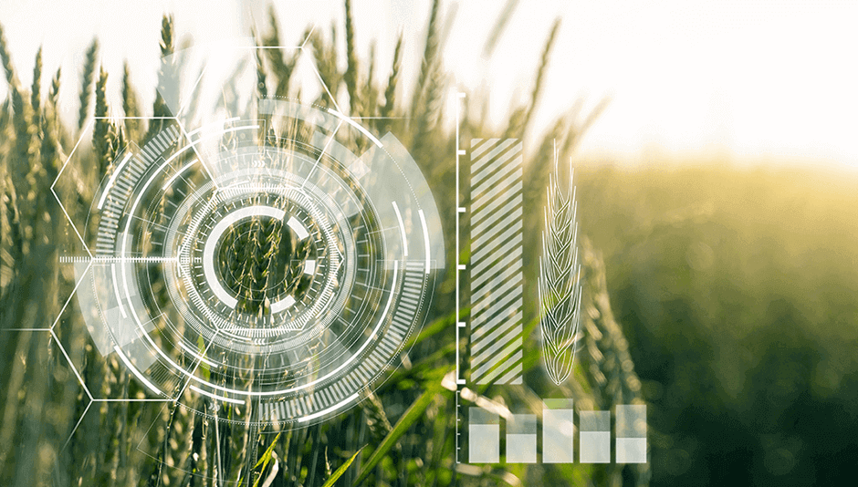 IoT in agriculture