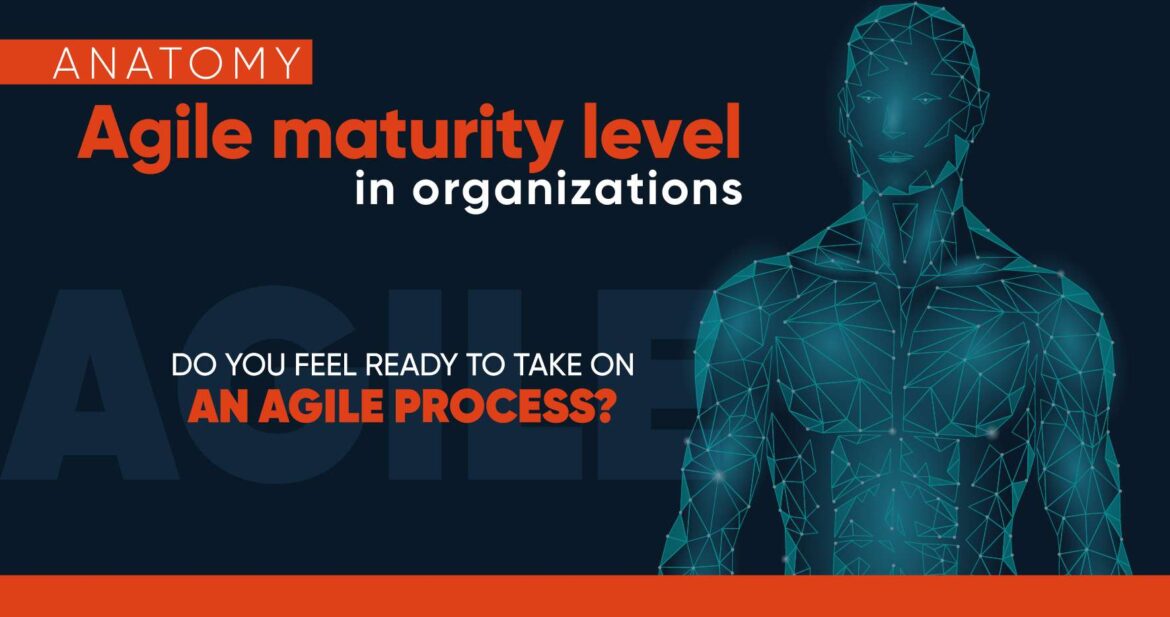 Infographic agile maturity level