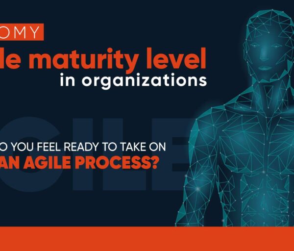 Infographic agile maturity level