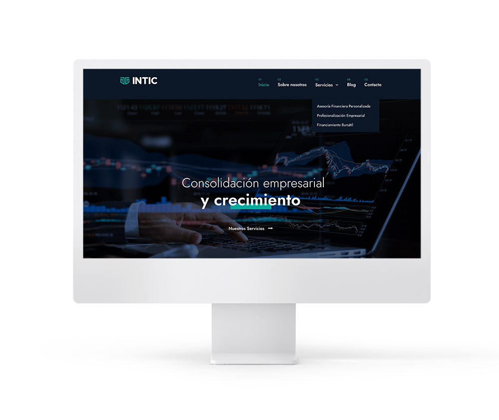 Computer screen with intic's web site design