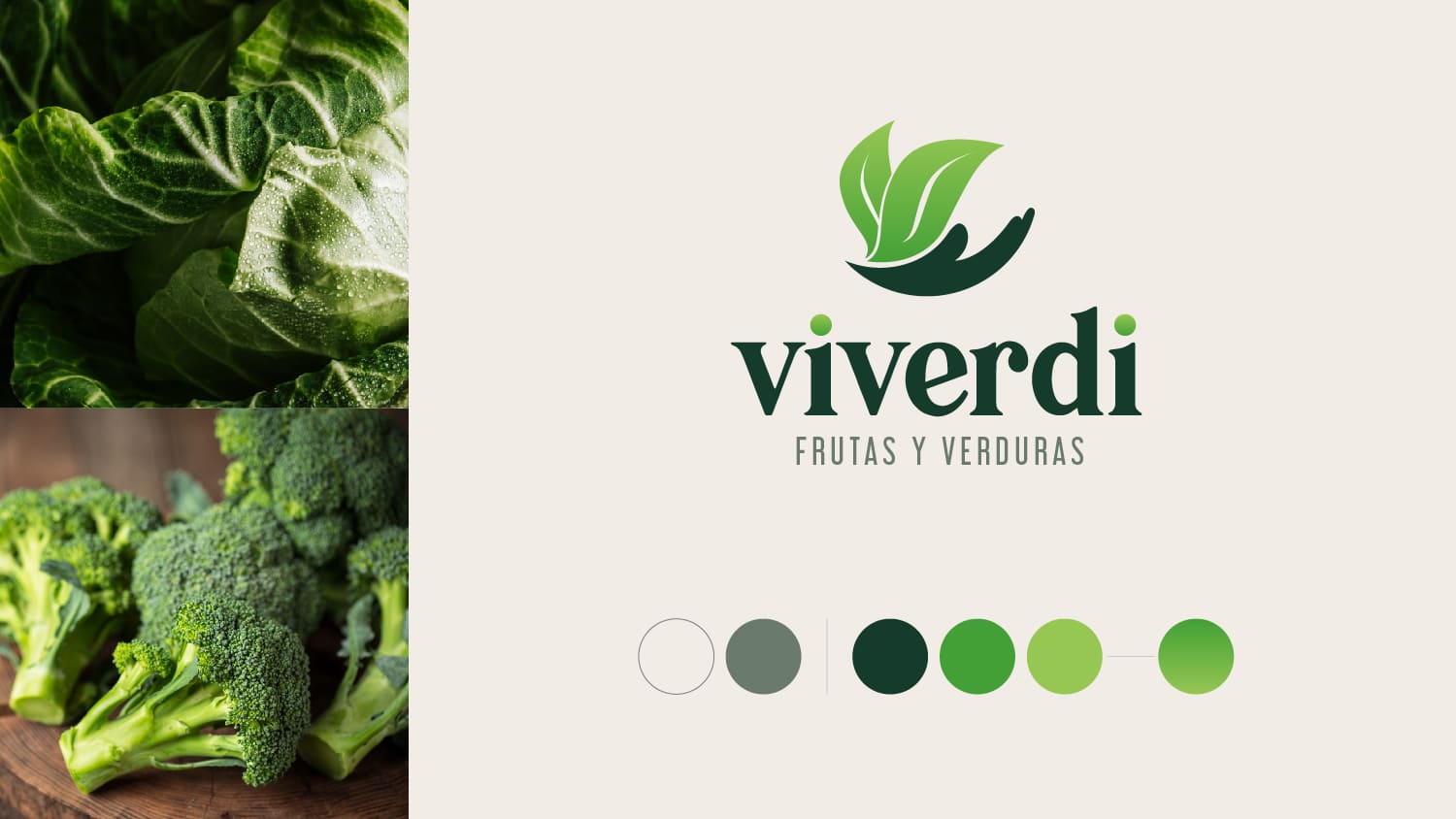 Viverdi logo and colors