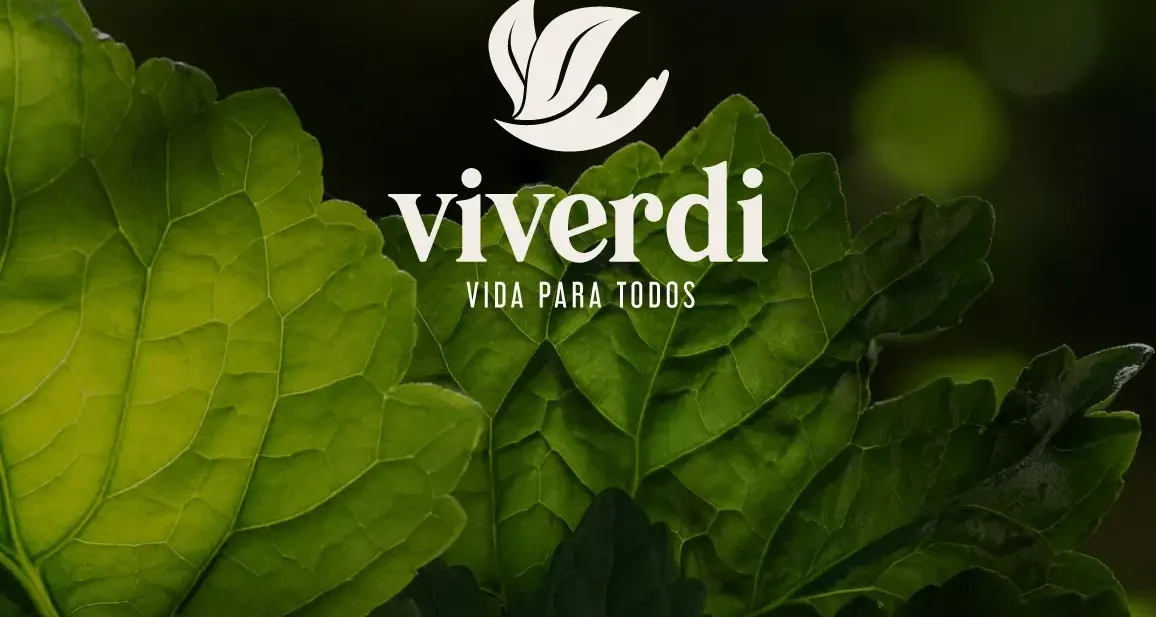 Viverdi_portada
