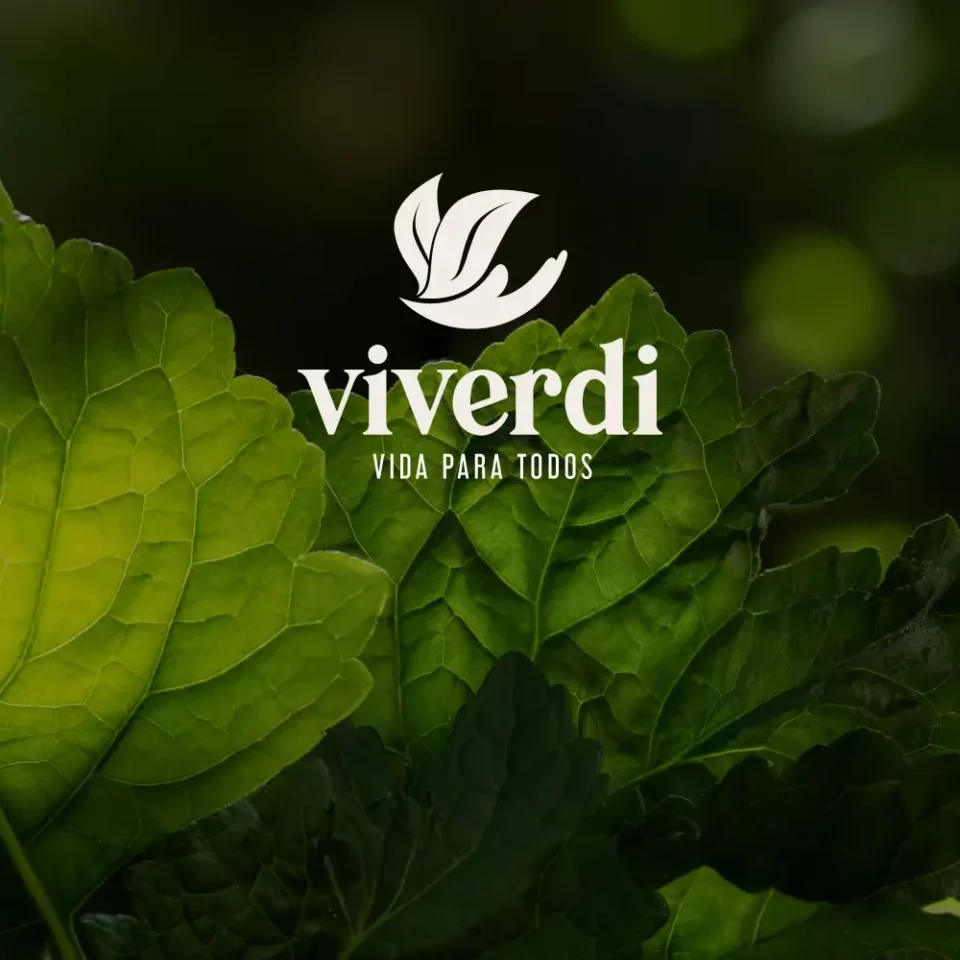 Viverdi_portada
