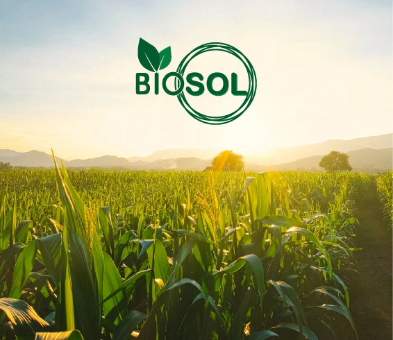 Biosol_portada